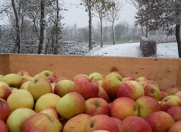 denmark/west-jutland/bar/kristinesminde