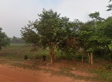 colombia/vichada-department/bar/estadero-los-laureles