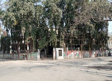 india/bihar/bar/collectorate-bar-association-patna