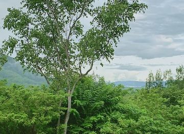 timor-leste/loihuno-waterfall/bar/black-box-cafe-and-bar