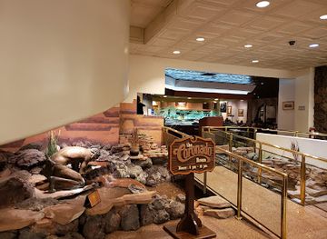 arizona/coronado-national-forest/bar/desert-lounge-grill