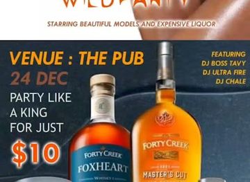 zimbabwe/eastern-highlands/bar/the-pub-night-life