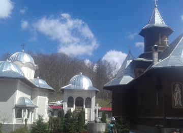 romania/fagaras-mountains/bar/transilvania