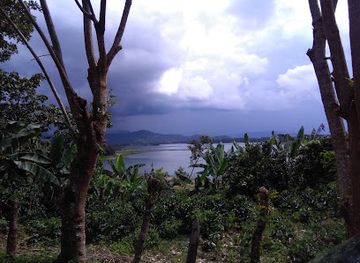 nicaragua/jinotega-mountains/bar/restaurante-pa-picar-litos