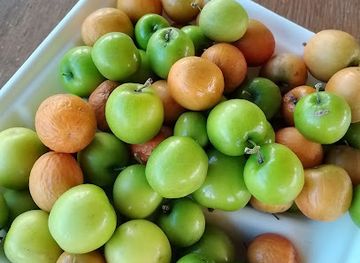 the-bahamas/san-salvador-island/bar/sunset-chill-grill