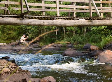 sweden/blekinge/bar/stromfiske-alsteran