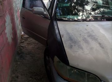 the-bahamas/berry-islands/bar/the-new-base-rd-bar