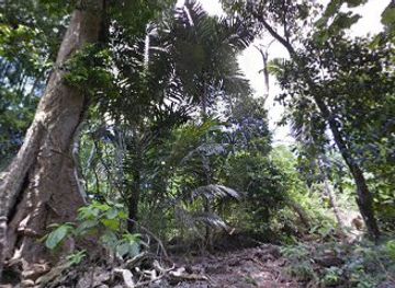 christmas-island/settlement/bar/the-dales