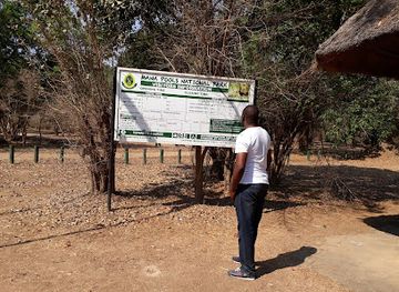 zimbabwe/mana-pools-national-park/bar/mana-pools-tourist-reception