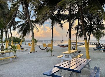 belize/lighthouse-reef-atoll/bar/bender-s-beach-bar