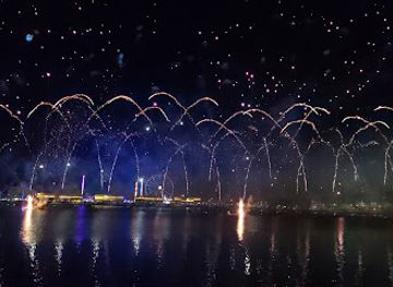 qatar/al-thakira-mangroves/bar/al-maha-island