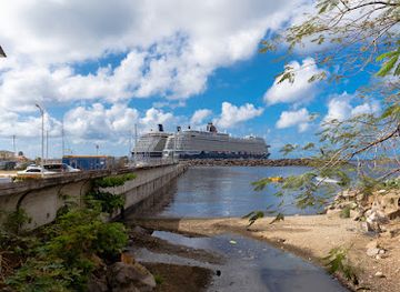 saint-kitts-and-nevis/basseterre/bar/bayside-bars-various-photos-collection