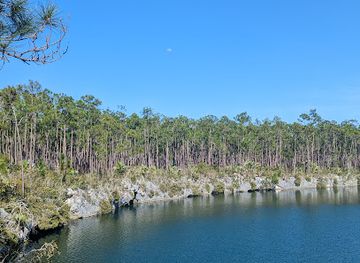 the-bahamas/andros/bar/captain-bill-s-blue-hole