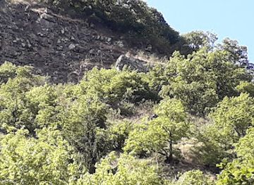 georgia/uplistsikhe/bar/traditional-atenuri-winery