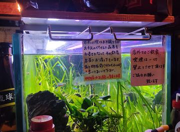 japan/kyoto/fushimi-inari/bar/fukakusa