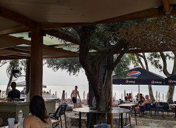 greece/central-greece/bar/asproneri-bloom-beach-bar