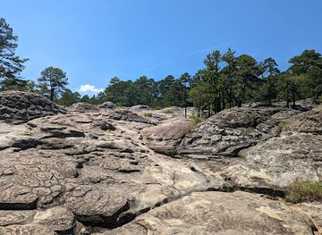 arkansas/petit-jean-state-park/bar/turtle-rocks