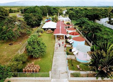 jamaica/black-river-great-morass/bar/paradise-ocean-view