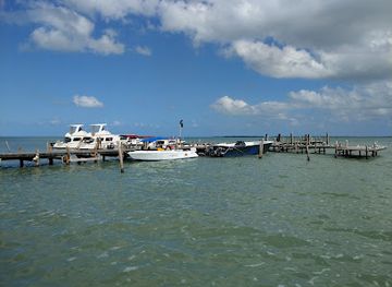 belize/glover-s-reef-atoll/bar/calypso-bar