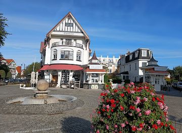 belgium/de-haan/bar/champagne-oyster-bar-bar-rene