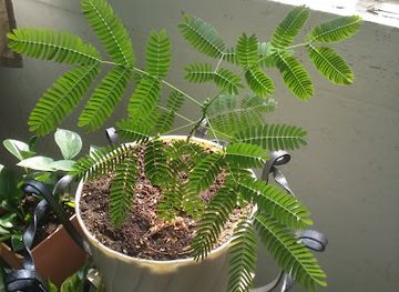 kansas/hutchinson/bar/the-liberty-lounge