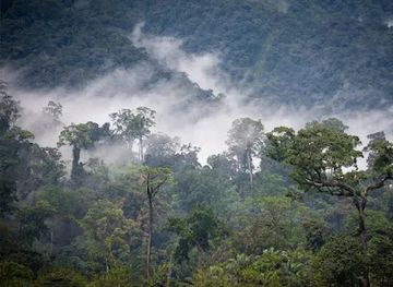 gabon/minkebe-national-park/bar/minkebe-national-park