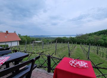 hungary/balaton-uplands/bar/laci-pince-csarda-balatonudvari