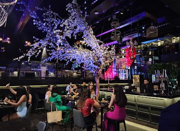 panama/panama-canal-zone/bar/la-tana