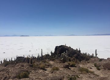 bolivia/lake-titicaca-basin/bar/lithium-club