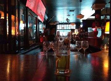 ireland/leinster/bar/blackbird