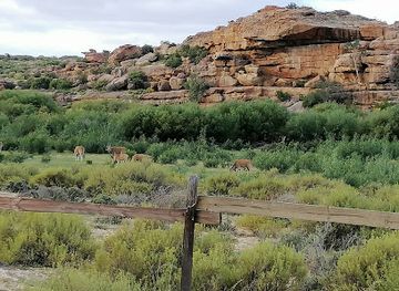 south-africa/cederberg-mountains/bar/traveller-s-rest-accommodation