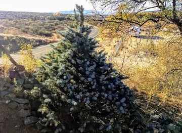 arizona/cabeza-prieta-national-wildlife-refuge/bar/bar-u-bar-ranch