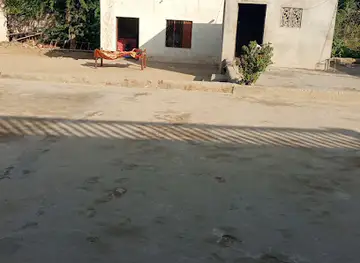 محمد ابراھيم جيڻو ھائوس باکريجي M.Ibrahim Jeeno House, Bakhreji
