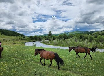 mongolia/khar-nuur/bar/stone-horse-expeditions-and-travel