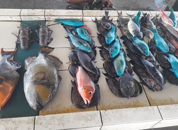 samoa/salelologa/bar/frankie-supermarket-salelologa