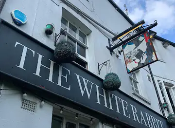 The White Rabbit