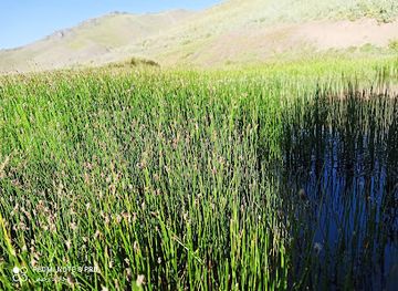 afghanistan/wardak/bar/