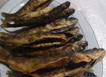 albania/kelmendi/bar/bar-restaurant-camping-gjeiaj