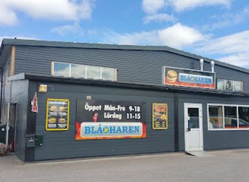 sweden/halsingland/bar/bla-haren