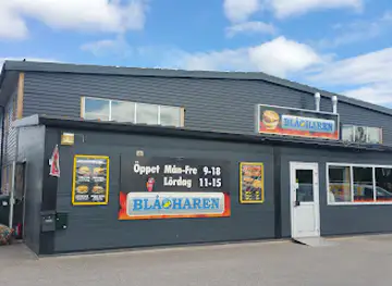 Blå Haren