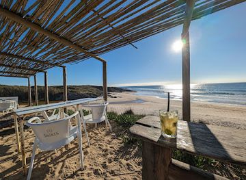 portugal/alentejo-coast/bar/magic-cactus