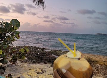 colombia/san-andres-island/bar/cold-coconuts