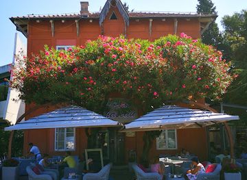 montenegro/bar-riviera/bar/le-petit-chateau