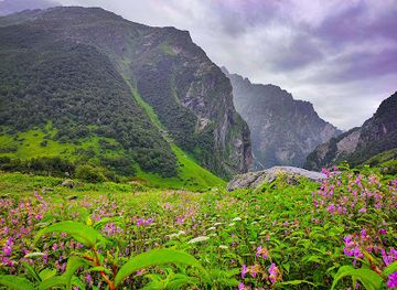 india/valley-of-flowers-national-park/bar/valley-of-flowers-the-paradise-on-earth
