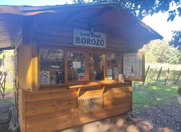 hungary/lake-balaton/bar/szent-donat-borozo