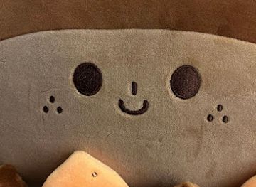 south-korea/jeju-island/bar/