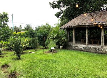 american-samoa/national-park-of-american-samoa/bar/flying-fox-gastropub
