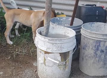 panama/guna-yala/bar/jardin-rancho-escondido