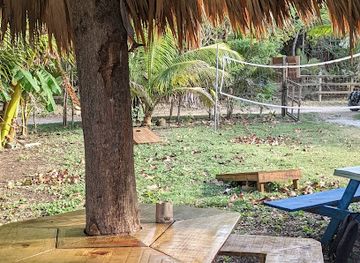 honduras/utila/bar/coco-loco