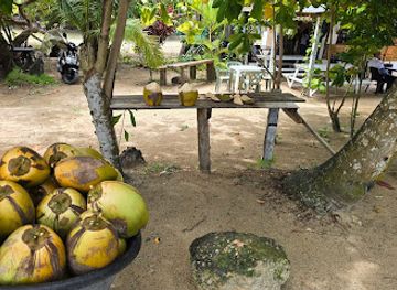 dominican-republic/samana-peninsula/bar/rodnel-coco